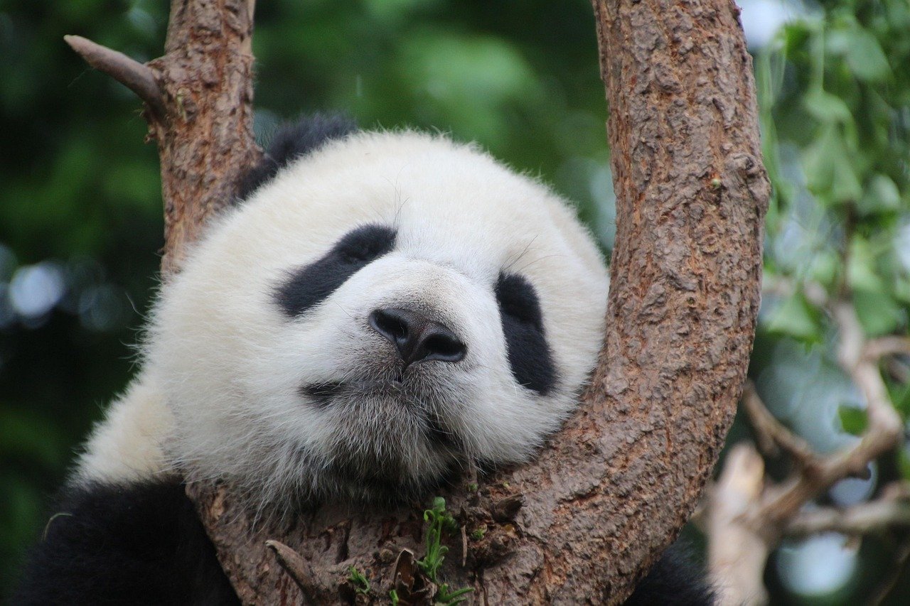 Sleep and Relaxation